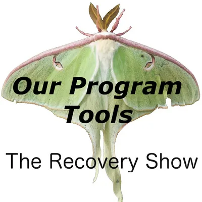Our Program Tools – 308
