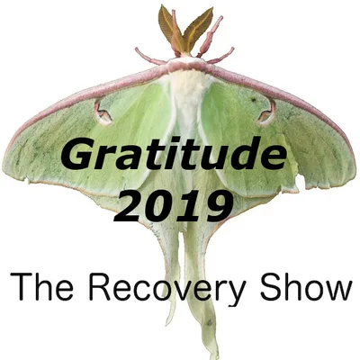 Gratitude 2019 – 309
