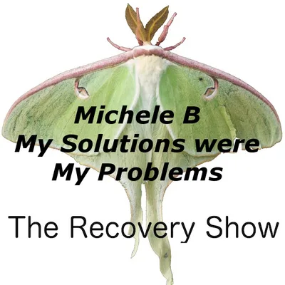 Michele B – My Solutions were my Problems – 303