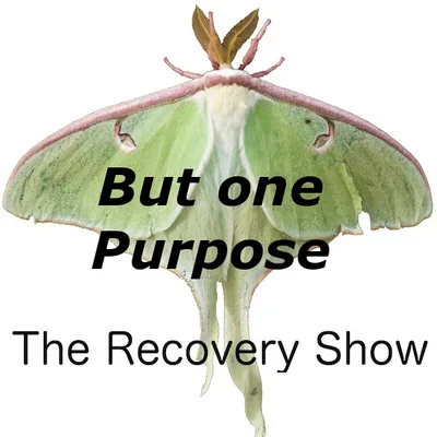 But One Purpose – 290