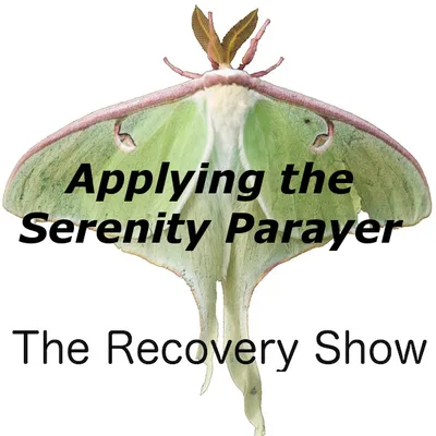 Applying the Serenity Prayer – 289