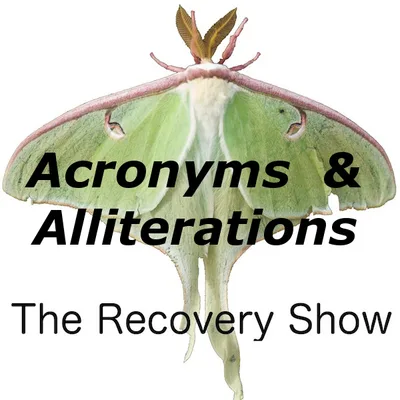 Acronyms and Alliterations – Episode 284