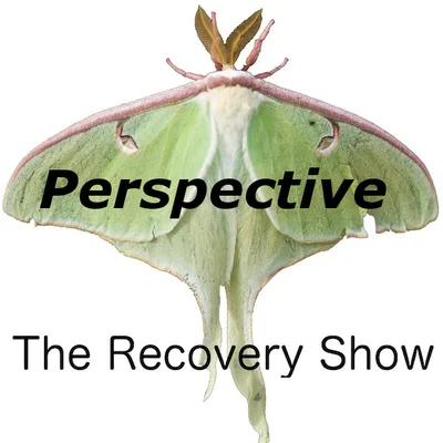 Perspective – Episode 258