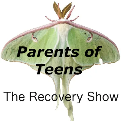 Parents of teen alcoholics and addicts – Episode 254