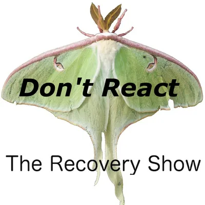 Don’t React – Episode 242