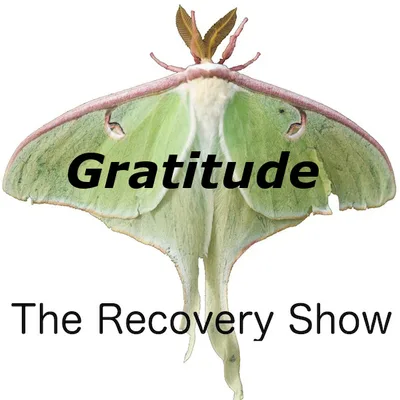 Gratitude – Episode 224