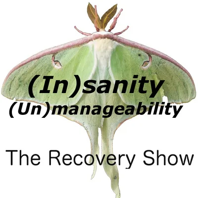 (In)sanity and (Un)manageability – Episode 222