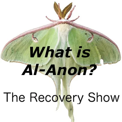 What is Al-Anon – Episode 195 – Episode 10 redux