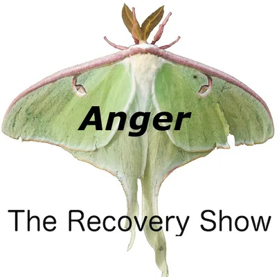Anger – Episode 182