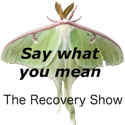 Say what you mean and mean what you say – Episode 179