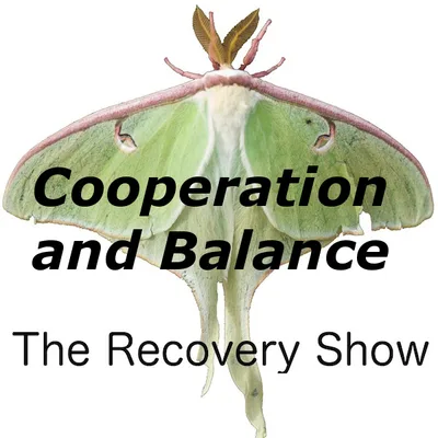 Cooperation and balance – Episode 135
