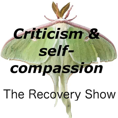 Criticism and Self-Compassion – Episode 108