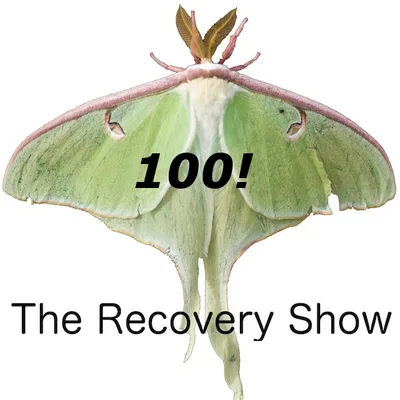 Guest Host Experiences – Episode 100