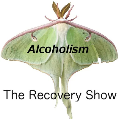 Alcoholism – a Personal Journey – Episode 85