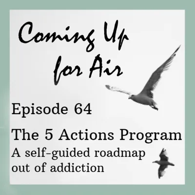 Podcast #64 The 5-Actions Program — A Self-Guided Roadmap Out of Addiction