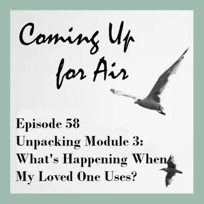 Podcast #58 Unpacking Module 3: What's Happening When My Loved One Uses?