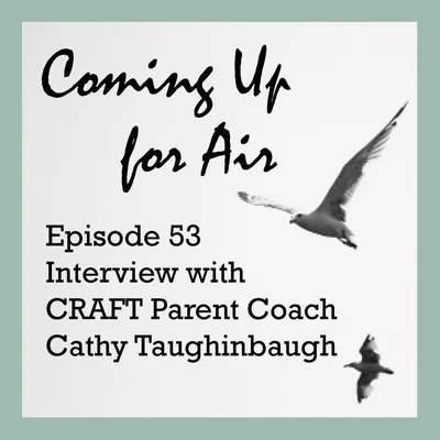 Podcast #53 Interview with Parent Coach Cathy Taughinbaugh