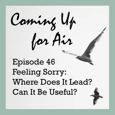 PODCAST #46 Feeling Sorry: Where Does It Lead? Can It Be Useful?