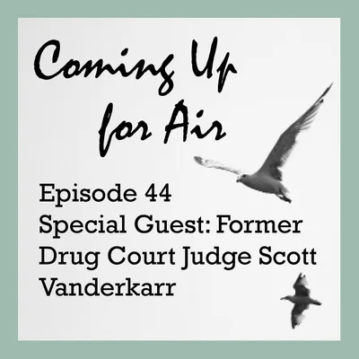 PODCAST #44 Interview with Former Drug Court Judge Scott Vanderkarr