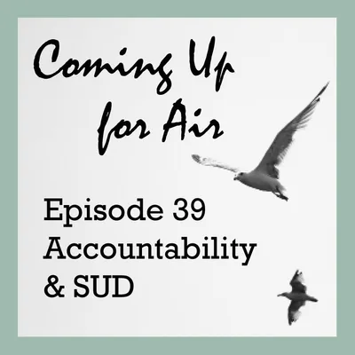 PODCAST #39 Accountability & SUD
