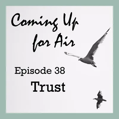 PODCAST #38 Trust and SUD