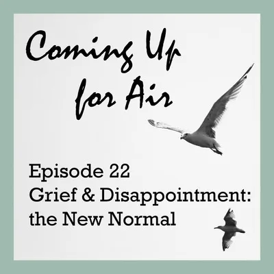 Grief And Disappointment: the New Normal