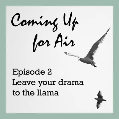 Leave Your Drama To The Llama