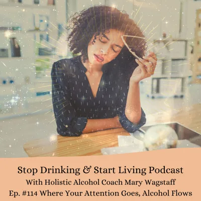 Ep. #114 Where Attention Goes, Alcohol Flows