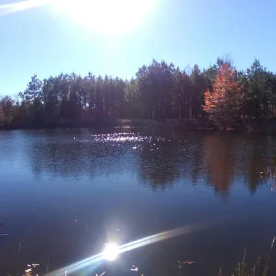 Episode 13      Mike Palombi (How Does It Feel Tough Guy)