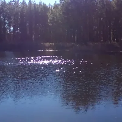 Episode 10 Cristina Cain The Purpose Restorer Speaker