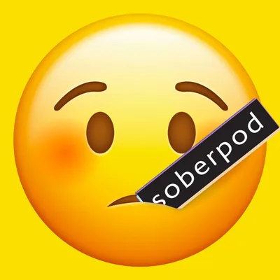 Soberpod - Step 4 - Steve's Sickasode