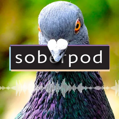 Soberpod - Sponsorship too?