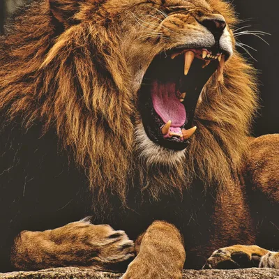 2020 – A Time of Danger, Decisions and Destiny