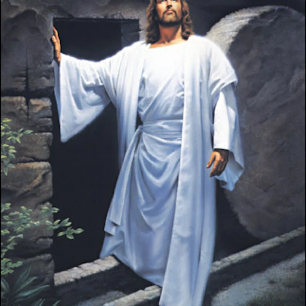 step 4  Self Examination