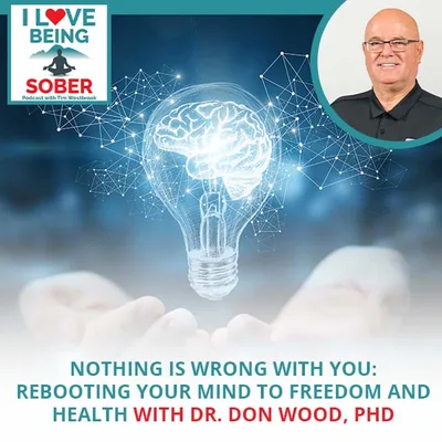 Nothing Is Wrong With You: Rebooting Your Mind To Freedom And Health With Dr. Don Wood, PhD