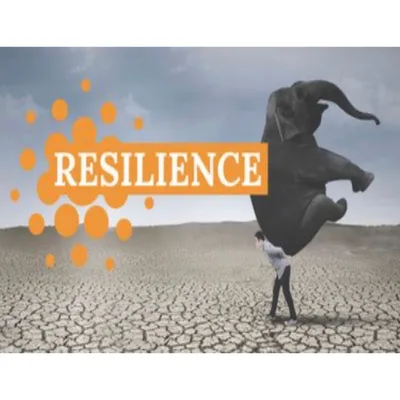 Resilience