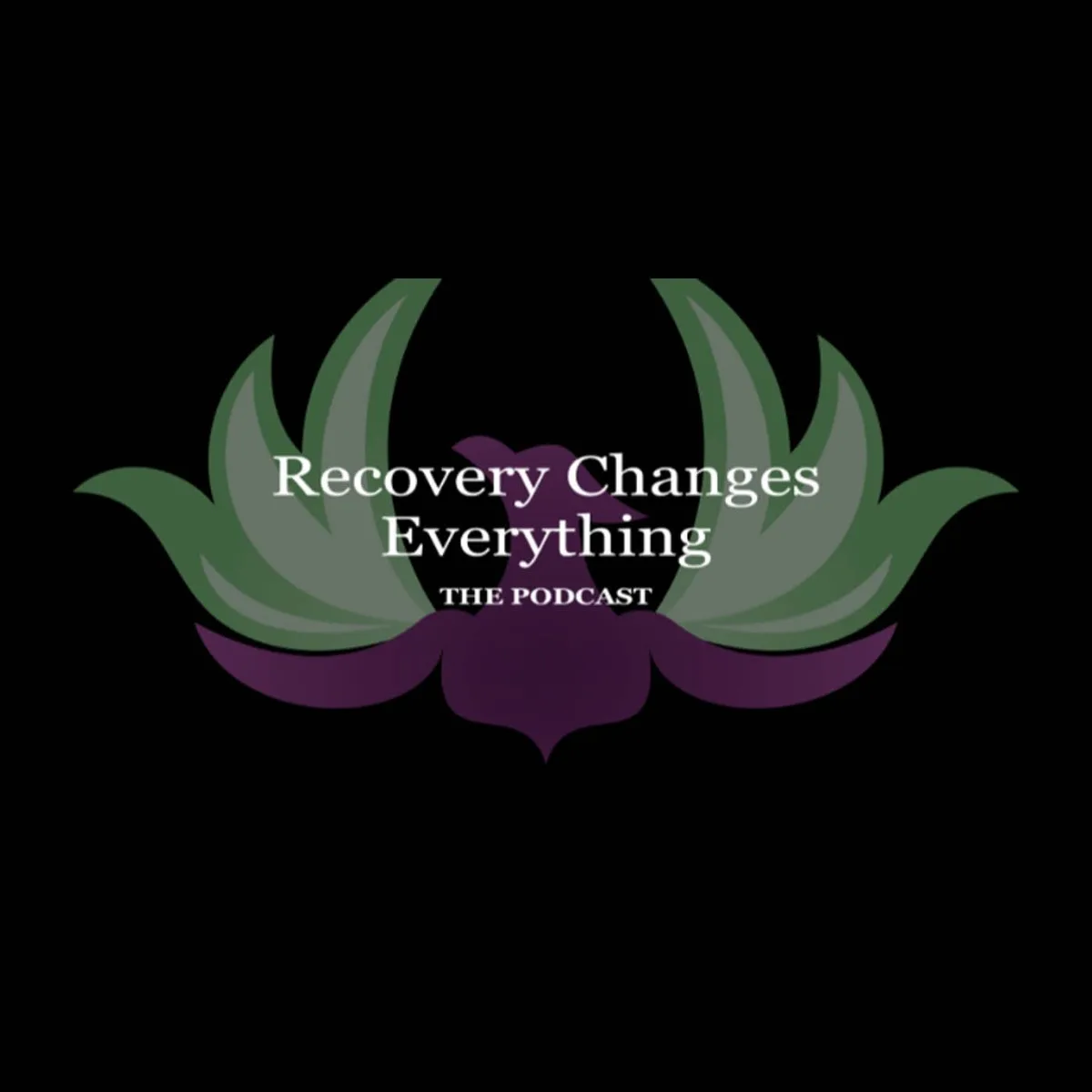 Episode 5 | The 12-Step Sponsor Part II