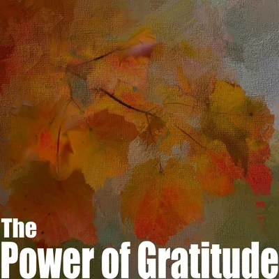 Episode 6 - The Power of Gratitude