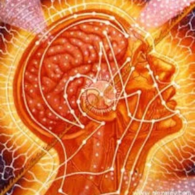 Episode 4 - How does brain chemistry influence addiction?