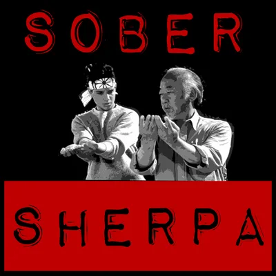 Sober Coach - How I stopped a relapse from happening