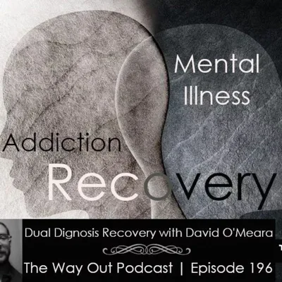 Dual Diagnosis Recovery with David O'Meara | The Way Out Podcast Episode 196