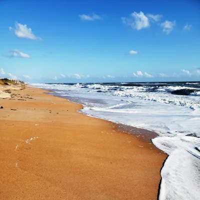 Sober Meditations with Buddy C. | The Way Out Podcast Bonus Episode