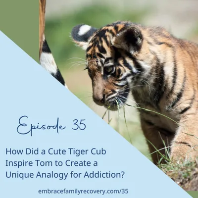 How Did a Cute Tiger Cub Inspire Tom To Create a Unique Analogy For Addiction?