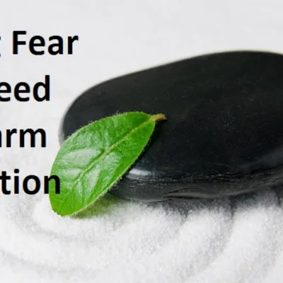 Fear and The Harm Reduction - Abuse Survivors