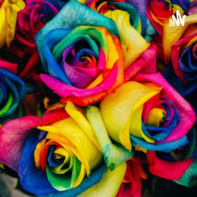 018 - Christmas in Recovery and the Pink Cloud