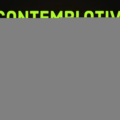 Contemplative Intelligence - Part Two Acceptance