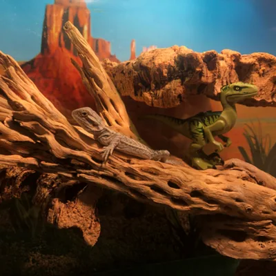 Raging with Sobriety