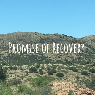 Recovery Is Not A Diet