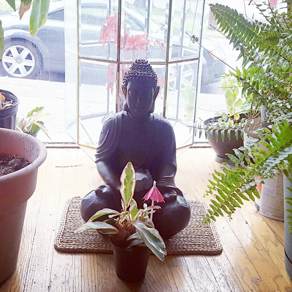 Compassion Meditatiom