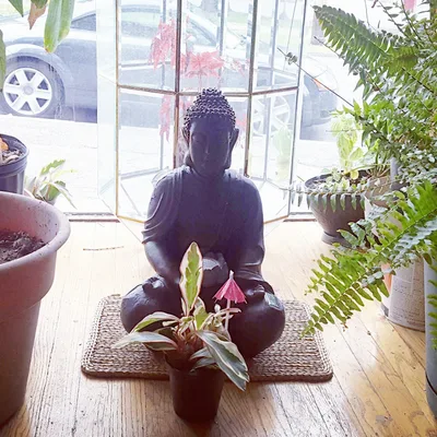 Compassion Meditatiom